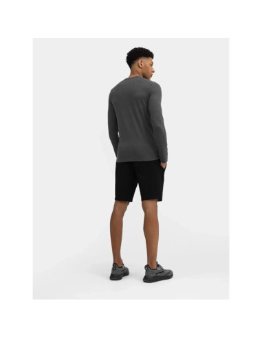 Spodenki  męskie dresowe 4f 4fwss25tshom0816-20s