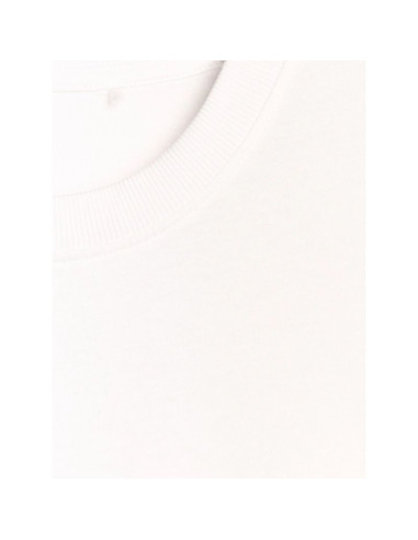 T-shirt regular z nadrukiem siatkarskim męski 4f 4fraw25ttshm3235-10s