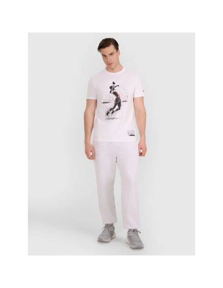 T-shirt regular z nadrukiem siatkarskim męski 4f 4fraw25ttshm3318-10s