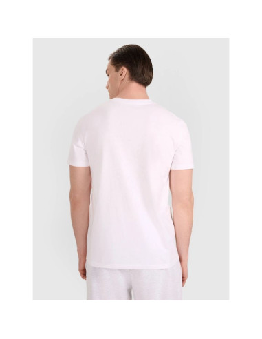 T-shirt regular z nadrukiem siatkarskim męski 4f 4fraw25ttshm3318-10s