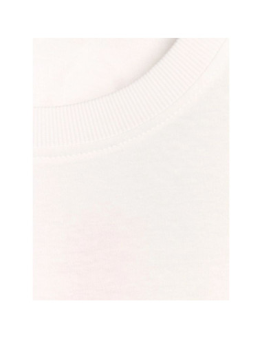 T-shirt regular z nadrukiem siatkarskim męski 4f 4fraw25ttshm3319-10s