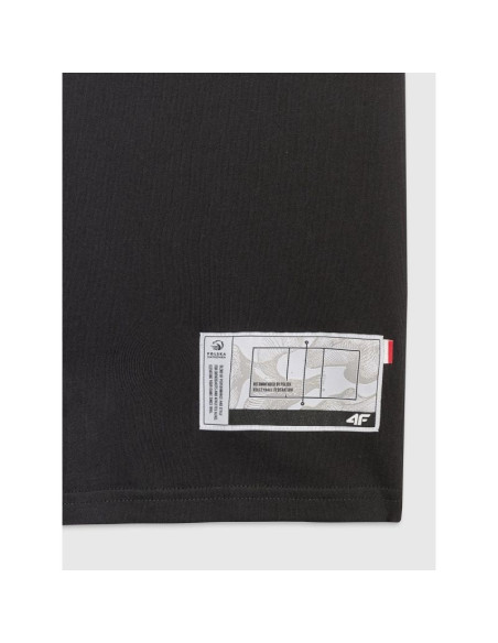 T-shirt regular z nadrukiem siatkarskim męski 4f 4fraw25ttshm3319-20s