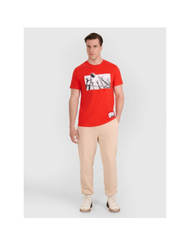 T-shirt regular z nadrukiem siatkarskim męski 4f 4fraw25ttshm3319-62s