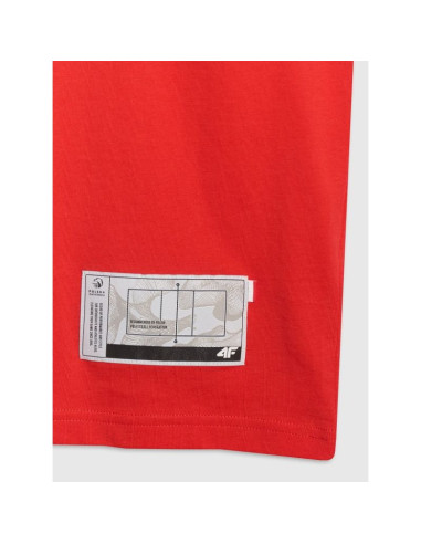 T-shirt regular z nadrukiem siatkarskim męski 4f 4fraw25ttshm3319-62s