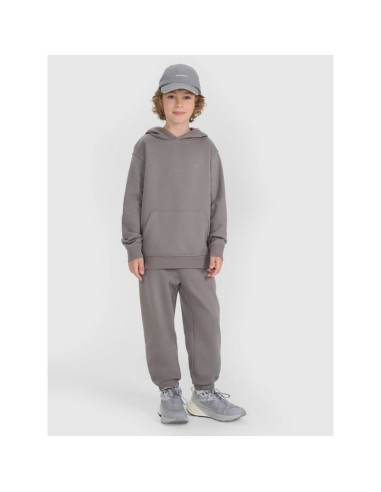 Spodnie dresowe joggery chłopięce 4f 4fjraw25ttrom1634-22s