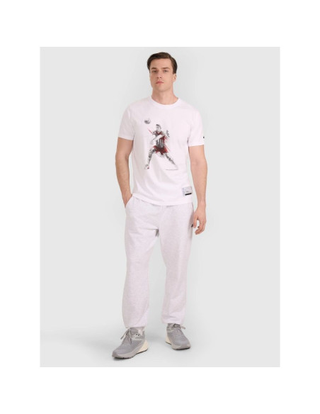 T-shirt regular z nadrukiem siatkarskim męski 4f 4fraw25ttshm3237-10s