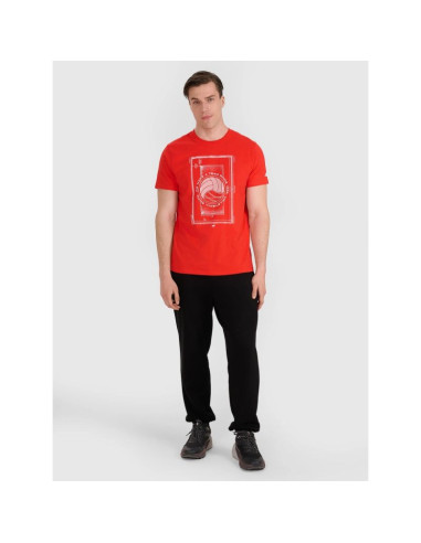 T-shirt regular z nadrukiem siatkarskim męski 4f 4fraw25ttshm3236-62s