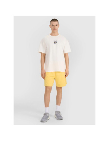 Koszulka 4f m 4frss25ttshm2981