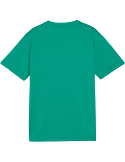Koszulka dla dzieci puma teamgoal jersey zielona 658637 05 2