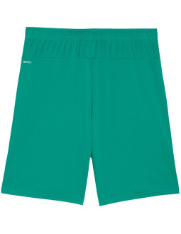 Spodenki męskie puma team goal zielone 705752 05 2