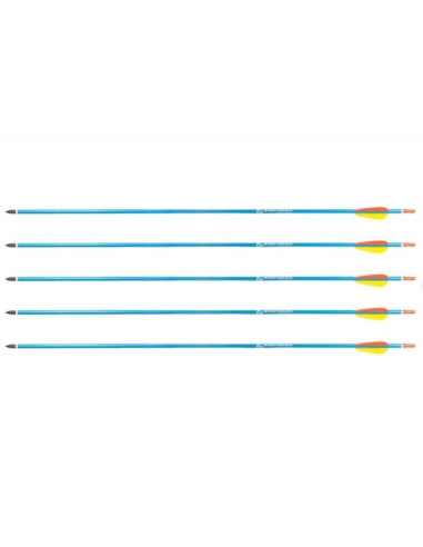 Strzały aluminiowe 30" blue poe lang - zestaw 5 szt