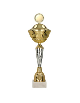 Puchar metalowy z przykrywką 2