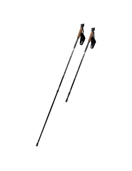 Kije nordic walking alpenstock ii