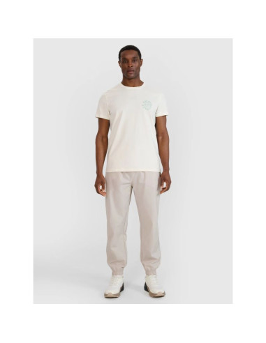 T-shirt regular z nadrukiem męski  4f 4fwss25ttshm1980-11s