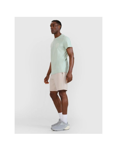 T-shirt regular z nadrukiem męski  4f 4fwss25ttshm1980-47s