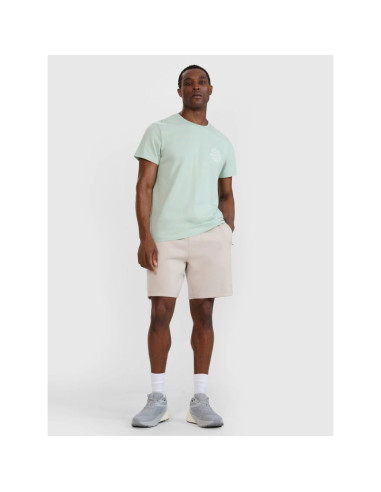 T-shirt regular z nadrukiem męski  4f 4fwss25ttshm1980-47s