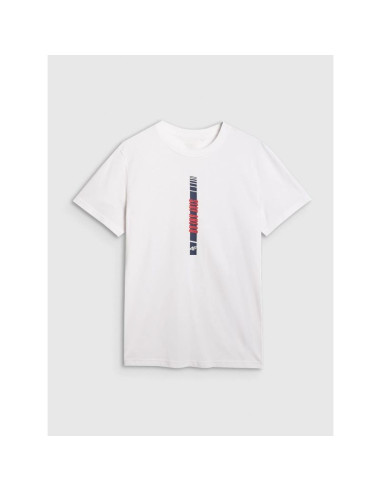 T-shirt regular z nadrukiem męski 4f 4fraw25ttshm3225-10s