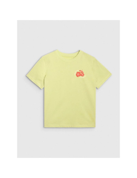 T-shirt oversize z nadrukiem damski 4f 4frss25ttshf3160-73s