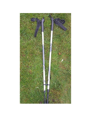 Kije trekking best sporting i rękawiczka