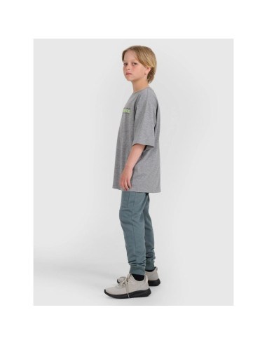 Koszulka 4f jr 4fjraw25ttshm3166