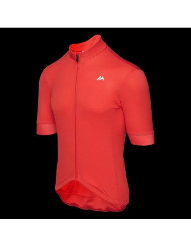 Męska koszulka z krótkim rękawem eirwen