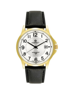 Zegarek męski perfect c710t-09