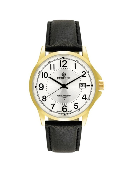 Zegarek męski perfect c710t-09