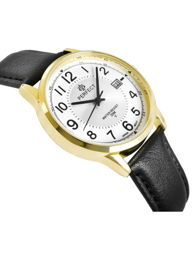 Zegarek męski perfect c710t-09