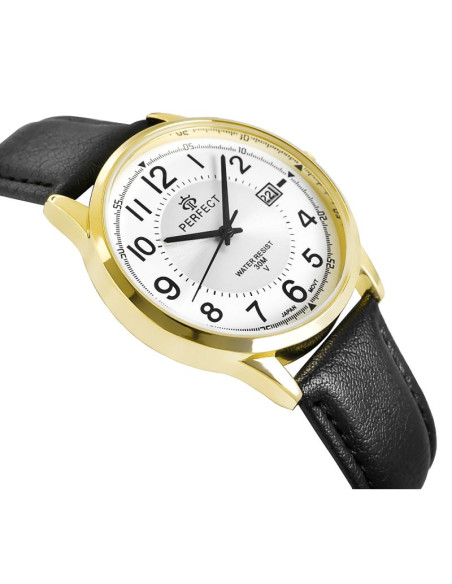 Zegarek męski perfect c710t-09