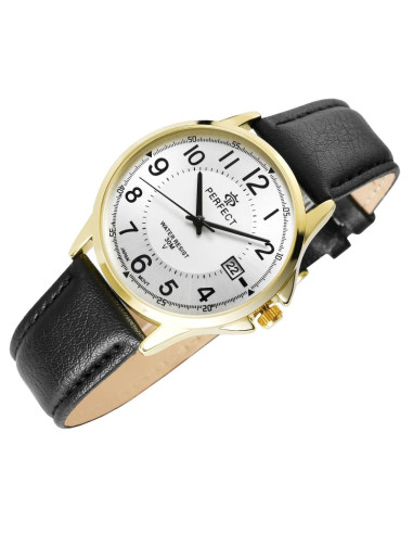 Zegarek męski perfect c710t-09