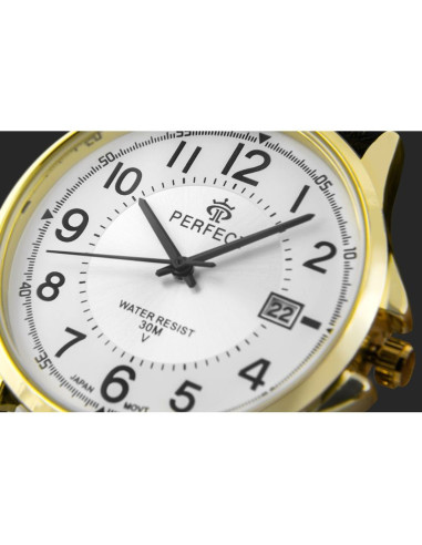 Zegarek męski perfect c710t-09