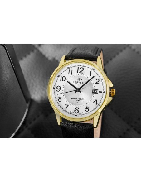 Zegarek męski perfect c710t-09