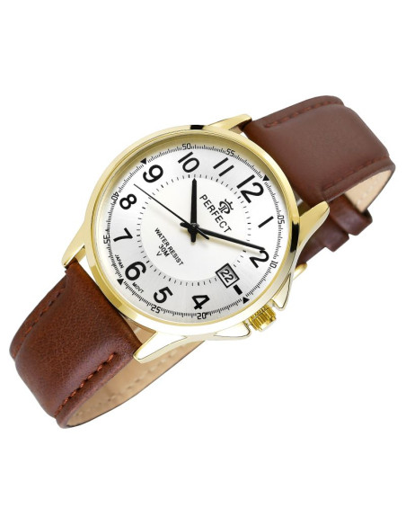 Zegarek męski perfect c710t-10