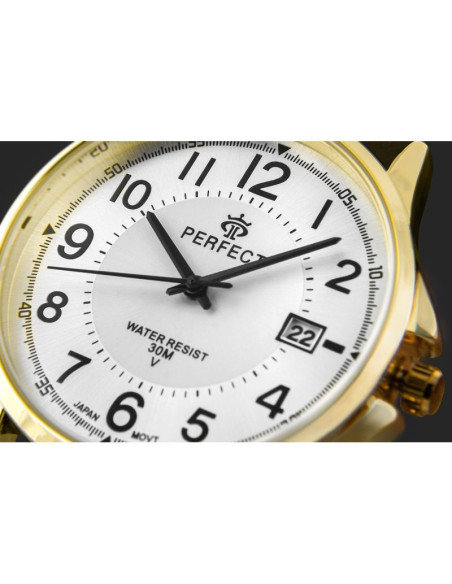 Zegarek męski perfect c710t-10
