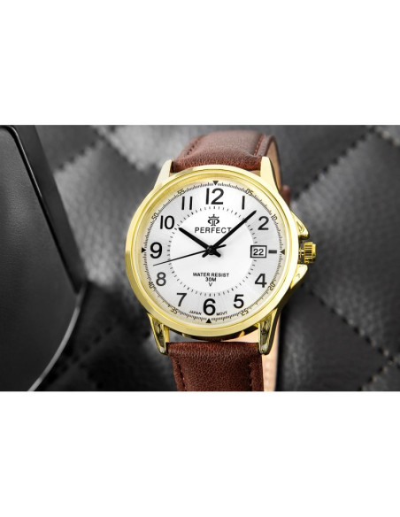 Zegarek męski perfect c710t-10