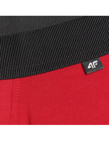 Bokserki męskie 4f m059 2-pak multikolor 2 4fwmm00ubxsm059 92s