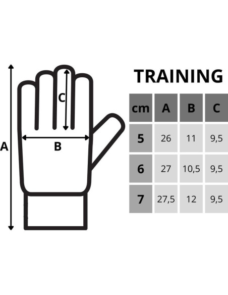 Rękawice bramkarskie enero training r.6