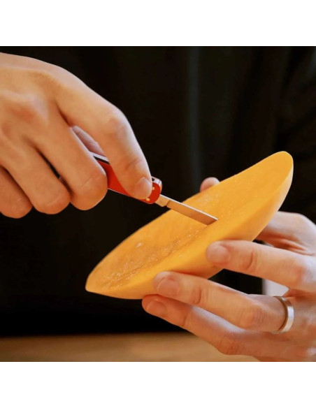 Nóż wielofunkcyjny nextool mini pocket knife ne0142 4w1 czerwony