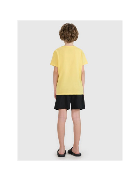 Spodenki plażowe boardshorty chłopięce 4f 4fjrmm00ubdsm110-20s