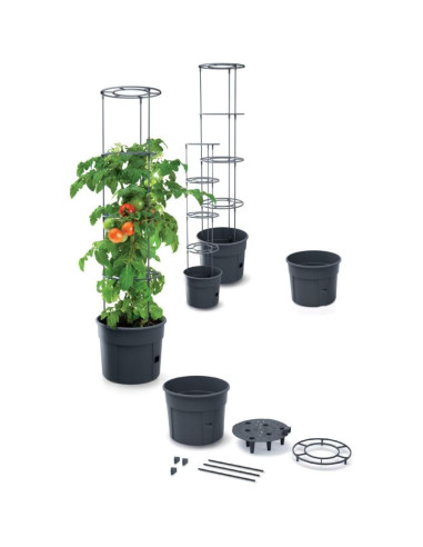 Doniczka do sadzenia pomidorów z drabinką pojemności 28l