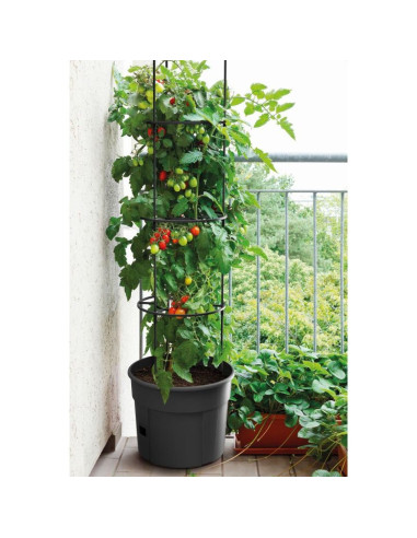 Doniczka do sadzenia pomidorów z drabinką pojemności 28l