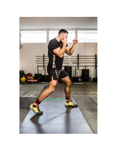 Komplet uchwytów do gum treningowych - arw-753 dbx bushido