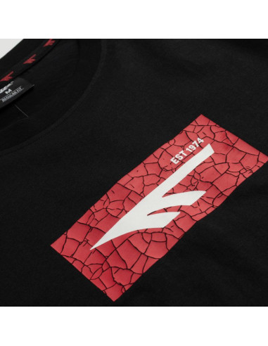 Męska koszulka z krótkim rękawem amilo