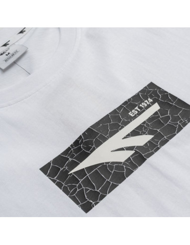 Męska koszulka z krótkim rękawem amilo