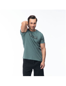 Męska koszulka z krótkim rękawem hamiloni 2