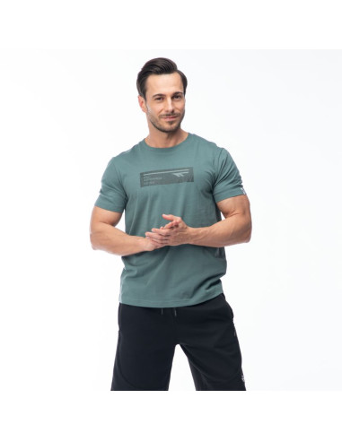 Męska koszulka z krótkim rękawem hamiloni