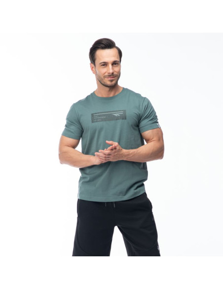 Męska koszulka z krótkim rękawem hamiloni