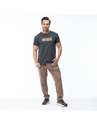 Męska koszulka z krótkim rękawem hamiloni