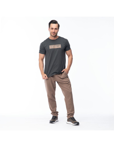 Męska koszulka z krótkim rękawem hamiloni