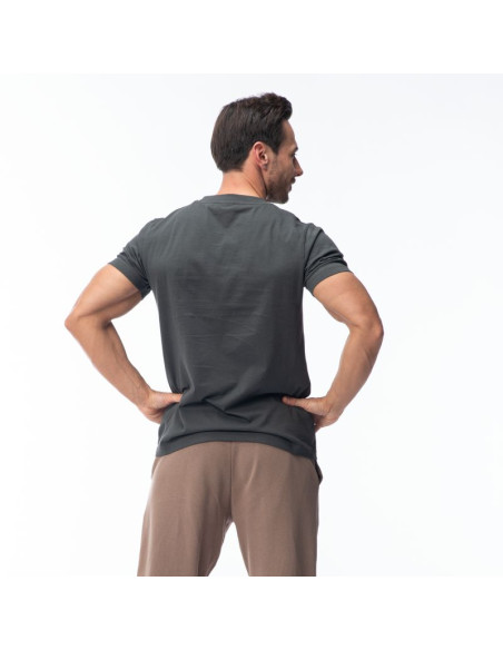 Męska koszulka z krótkim rękawem hamiloni